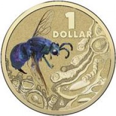 2014 $1 Bugs - Cuckoo Wasp